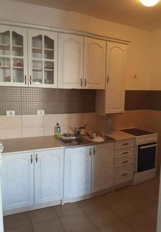 Апартаменты Zebra Подгорица Апартаменты с 1 спальней-7