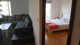 Апартаменты Zebra Подгорица Апартаменты с 1 спальней-15