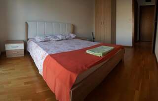 Апартаменты Zebra Подгорица Апартаменты с 1 спальней-19