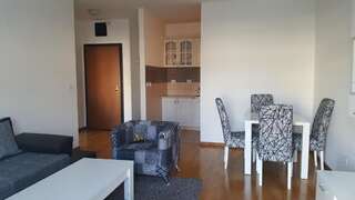 Апартаменты Zebra Подгорица Апартаменты с 1 спальней-22