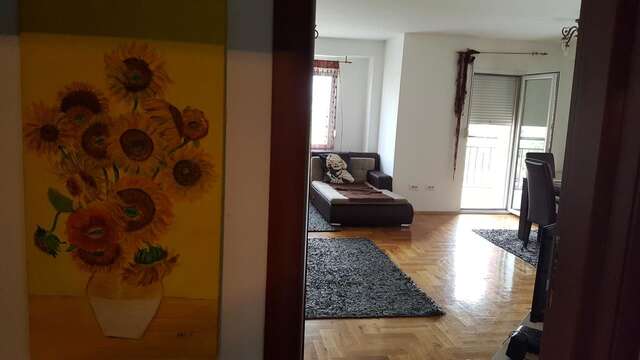 Апартаменты Zebra Подгорица-37