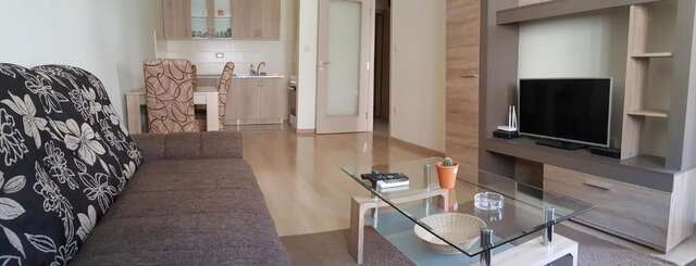 Апартаменты Zebra Подгорица-89